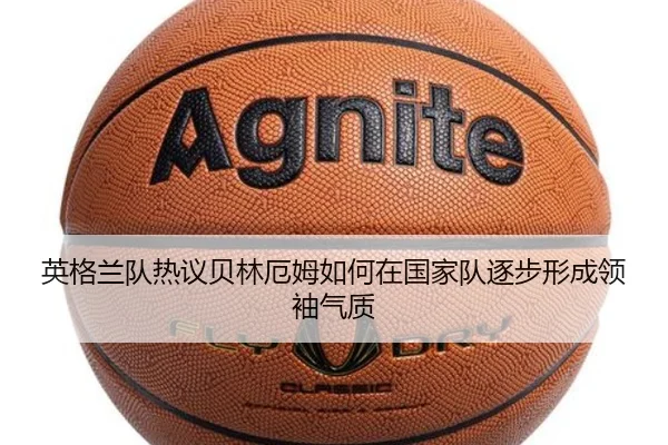 img_1782747608648_1854_1_609.jpg