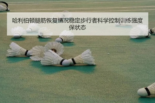 哈利伯顿腿筋恢复情况稳定步行者科学控制训练强度保状态